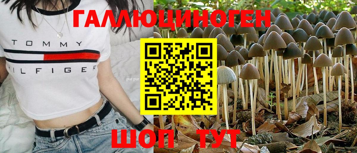 Галлюциногенные грибы Magic Shrooms Камышин