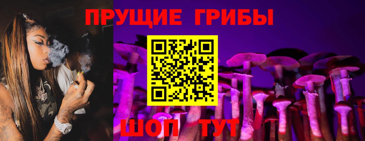 Камышин  Галлюциногенные грибы Cubensis  Вход с VPN 