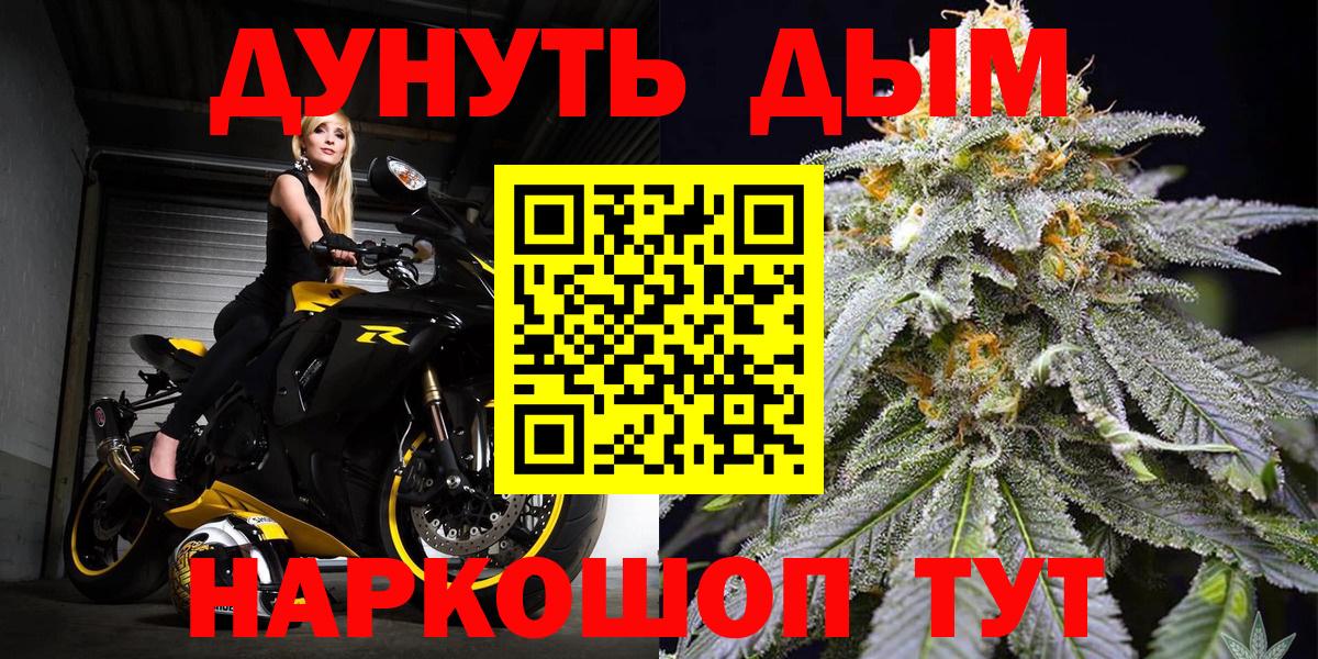 Бошки Шишки гибрид Камышин
